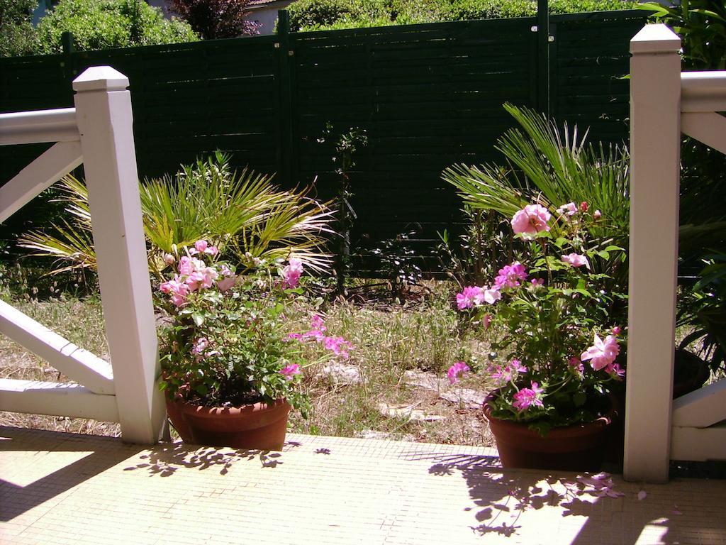 Villa Surprise Arcachon Pokoj fotografie